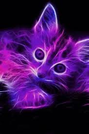 Neon Kitten Live Wallpaper For Android Kitten Art Neon Art Neon Cat