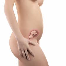 Movimientos Del Bebe Durante El Embarazo Cuando Se Perciben