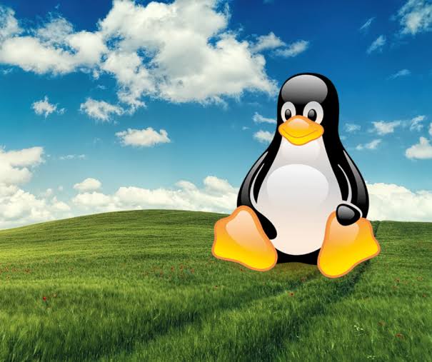 Linux-Server in 10 Minuten absichern: 5 Handgriffe, die 90 % der Angriffe stoppen