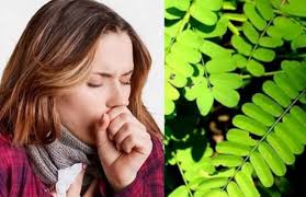 Maybe you would like to learn more about one of these? Sesak Nafas Dan Batuk Batuk Coba Ramuan Herbal Dari Tanaman Yang Satu Ini Lensa Banyumas