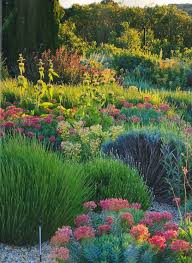 Pin By Beverley Stewart Suckling On Gardens Wild Natural Mediterranean Garden Beautiful Gardens Drought Tolerant Garden