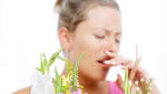 What does a colder spring mean for allergy season?