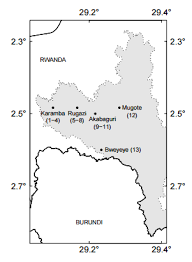 Image result for Dichaetanthera corymbosa