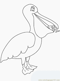 Pelicans include birds whose life cycle is mostly spent in water areas. Pelican Coloring Page Free Pelican Coloring Pages Coloringpages101 Com Coloring Home
