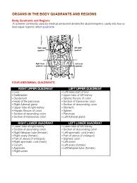 Individual organs can also be divided by planes to help identify smaller structures within that organ. Organs In The Body Quadrants And Regions Abdomen Large Intestine