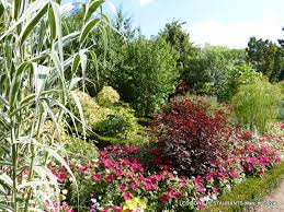 Nancy 54 Jardin Alexandre Godron Jardins Nancy