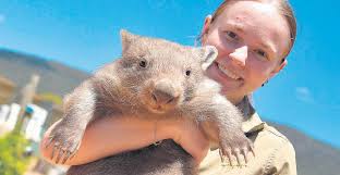 The Weekly Advertiser