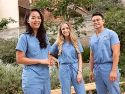 Most ucla master's students have the capstone plan. About Ucla Dentistry