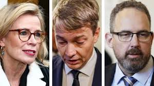 ToPo-Honka 74-80 (37-42) ToPo...