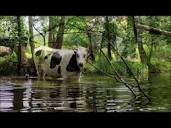 Dębki - spływ kajakowy - przeźroczyste kajaki [Vlog #40] - YouTube