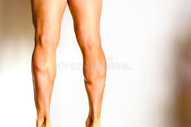They form by the fusion and elongation of numerous precursor cells called myoblasts. 171 Gastrocnemius Photos Free Royalty Free Stock Photos From Dreamstime
