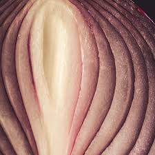 Die vagina (scheide) ist ein muskuläres hohlorgan im kleinen becken und zählt zum inneren genitale der frau. Vagina Wissen 10 Dinge Die Jeder Daruber Wissen Sollte