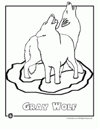 Endangered Animals Coloring Pages Animals From North America Animal Jr Endangered Animals Animal Coloring Pages Endangered Species Activities