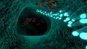 Jan 25, 2018 · subnautica screenshots. Subnautica Screenshots Album On Imgur