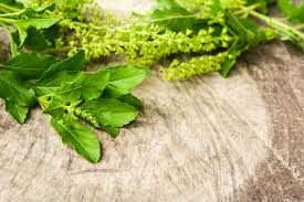 Home Remedies For Fever 5 Effective Home Remedies To Treat Fever India Com These are some of the questions answered in. home remedies for fever 5 effective