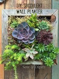 Set the living succulent picture on a table or shelf where it can be propped up against a wall. Easy Succulent Wall Planter Succulent Wall Planter Succulent Planter Diy Succulents Diy