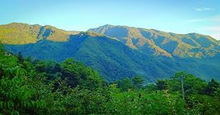 美麗的清泉 歡迎親身來體驗這個美景 台灣 露營 新竹景點 新竹縣 桃山村 五峰鄉 清泉 張學良故居 露 natural landmarks landmarks nature