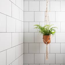 Een Groene Douche De Beste Planten Voor In Je Badkamer Foto Hln Be