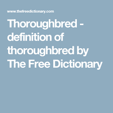 Thoroughbred Definition Of Thoroughbred By The Free Dictionary Free Dictionary Psychological Therapies Dictionary