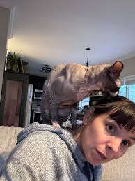 Meowello! I currently feed my boy the Purina Pro Rx urinary due to crystal  flare ups. I also feed stella and chewy raw, and purina pro wet urinary(non  rx). This works well