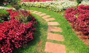 At perfect cut landscaping in louisville, ky, we make tackling lawn and landscaping projects a breeze with our comprehensive residential and commercial maintenance and landscape installation. Landscaping Louisville Landscaping Louisville Ky