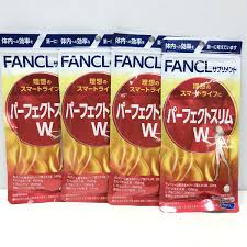 新品 F Fancl 健康補助食品 サプリメント パーフェクト スリム W 20日分 4袋 セット ヒハツエキス末 L カルニチン 中古 未使用 未開封 の落札情報詳細 ヤフオク落札価格情報 オークフリー スマートフォン版