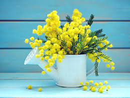 Frasi per la festa delle donne. La Festa Della Donna Passato Presente E Futuro