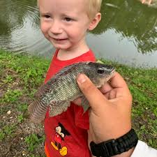 ᐅ Popash Creek fishing reports🎣• North Fort Myers, FL (United States)  fishing