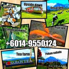 Adalah salah satu pakej pelancongan pakej lawatan ini merupakan combination dari tour surabaya, pakej lawatan ke gunung bromo dan pakej tour malang, percutian ke madura, tour. Pakej Percutian Murah Bajet Kundasang Trip Sabah Kundasangtrip Twitter