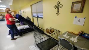 Nonprofits provide vital services across the country and employ millions of americans, fed chairman jerome powell said in a statement. Springfield Cold Weather Shelter Opens Advocates Hope For Volunteers