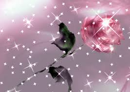 Descargar Fondo De Pantalla Para Celular Con Movimiento Descargar Fondo De Pantalla Mariposas Fondos De Pantalla Rosas Animadas