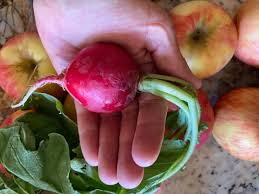 Natasha Uriah Moon (@natasha_a_wells) · Rio Rancho, NM