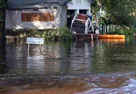 Buyers to verify with pasco county rules and regulations. Pasco Residents Officials Use Irma S Lessons For Upcoming Hurricane Plans