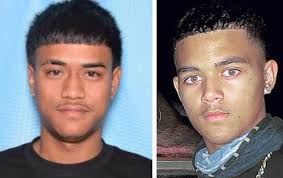 Two charged with murder in mass shooting at Maili cockfight