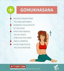 Health Benefits Of Gomukhasana In 2020 Cow Face Pose Yoga Information Yoga Benefits
