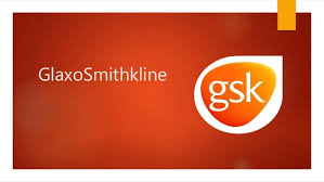 Organization Structure Of Gsk