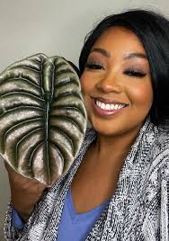 There are 90 varieties of Alocasia worldwide