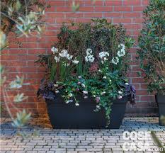 Soluzioni per la definizione *una pianta con i fiori gialli a grappolo* per le parole crociate. La Grande Fioriera Per Il Terrazzo Cose Di Casa