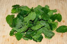 Conserver Et Utiliser La Menthe Du Potager Menthe Recettes De Cuisine Conservation Des Aliments