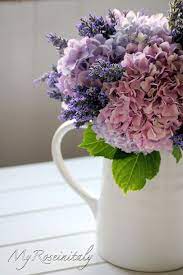 Facciamoli asciugare e poi utilizziamoli per le piante che amano terreni acidi: Un Bouquet Di Ortensie E Lavanda Ortensie Bouquet Di Lavanda Decorazioni Floreali