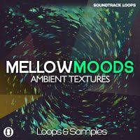Soundtrack Loops Royalty Free Audio Loops And Samples