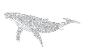 An ordinary fish for the little ones. Pin On Products