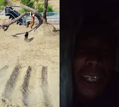 evryone #followers #highlights