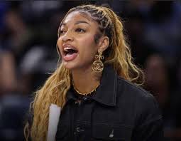 Big Bird and the Chicago Sky Humorous Post