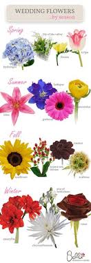 May day is thought to symbolise the transition between spring and summer and the celebrations held every year are believed to bless crops and planting with good luck for the coming months! Suzanne Brink1013 Profile Pinterest