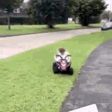 We regularly add new gif animations about and. Quad Gifs Tenor