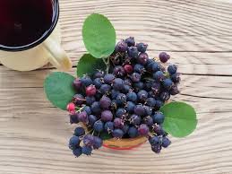 Image result for indiánská borůvka obrázek