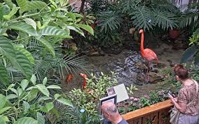 Key West Florida Key West Butterfly Nature Webcam Webcams In Florida
