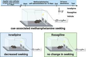 Image result for Isradipine