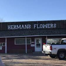 Maybe you would like to learn more about one of these? Herman S Flowers 17 Photos Florists 1426 14 St Sw Great Falls Mt Phone Number Yelp